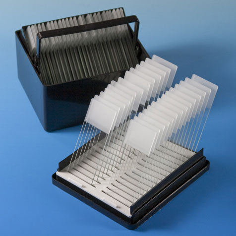 Microscope Slide Staining Products from Globe Scientific