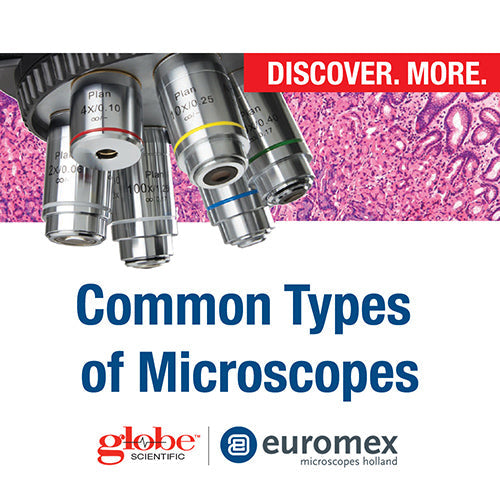 Common Types of Microscopes