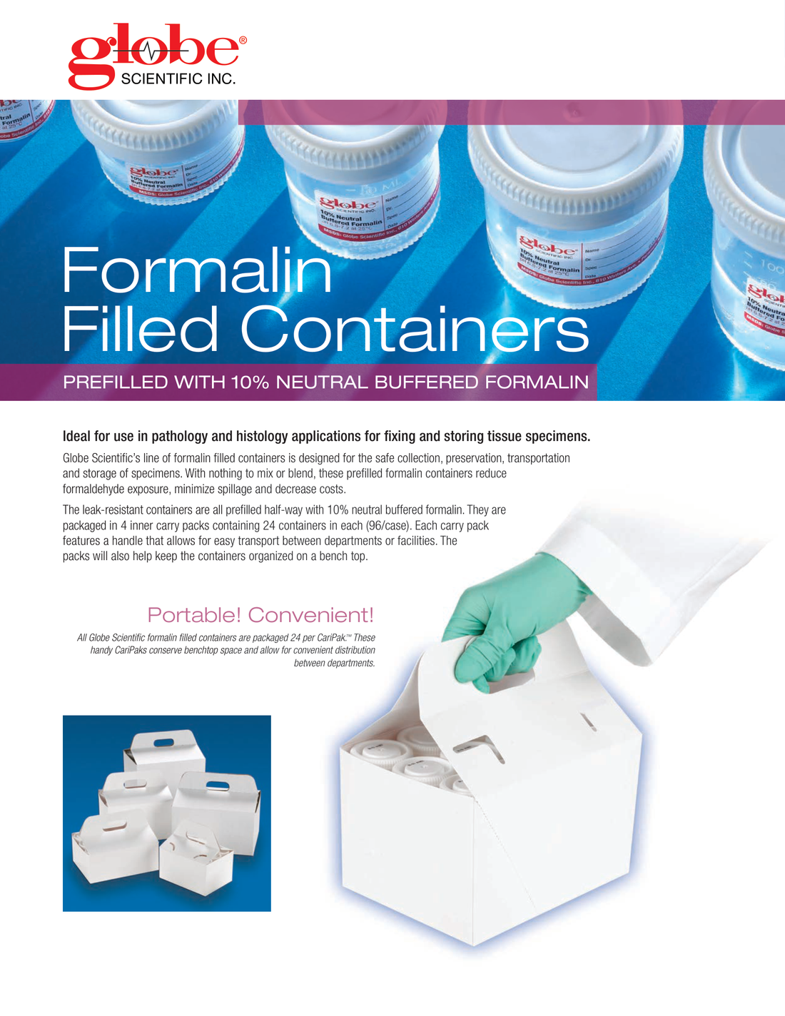 FormalinFlyer