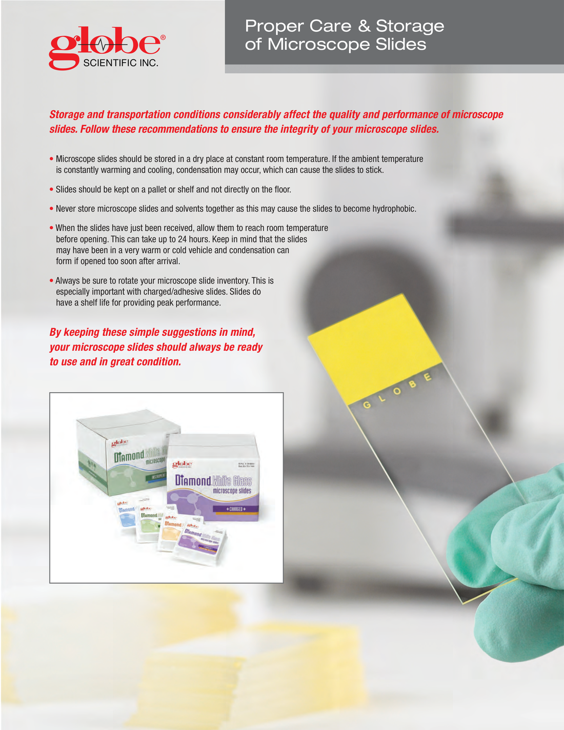 Globe Micro Care Sheet