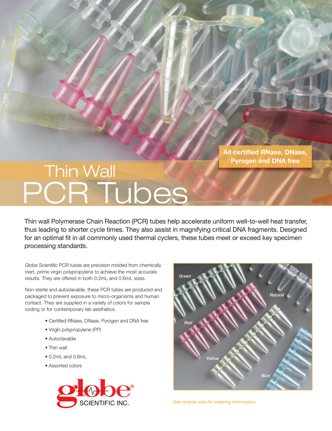 PCR Tube Flyer