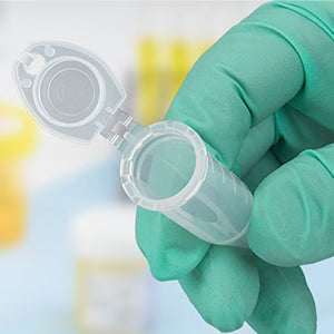 Lock In Confidence: The Everyday Hero of Your Lab Workflow