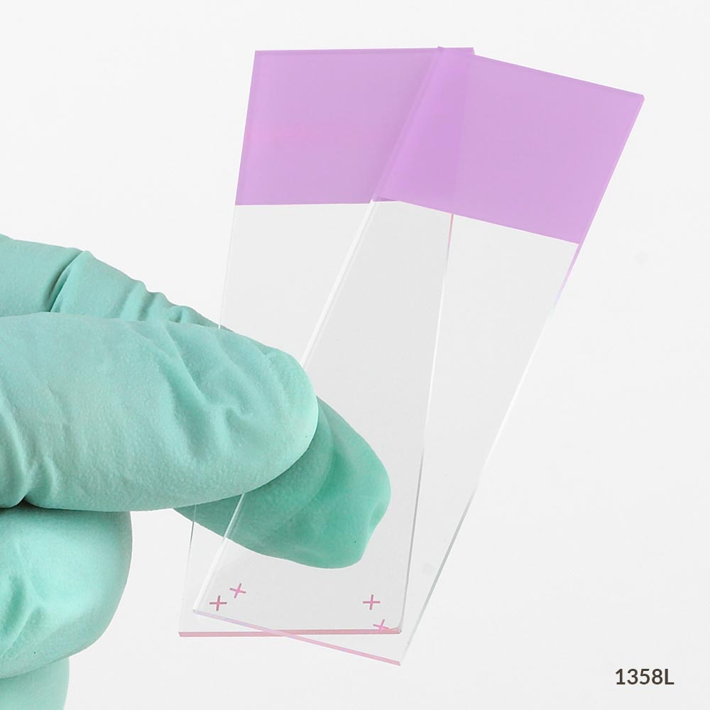 Microscope Slides, Diamond White Glass, 25 x 75mm, Charged, 90° Ground Edges, Lilac Frosted