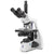 bScope trinocular microsco.,HWF 10x/20mm, eyepiece, quin. nosepiece PLPHi