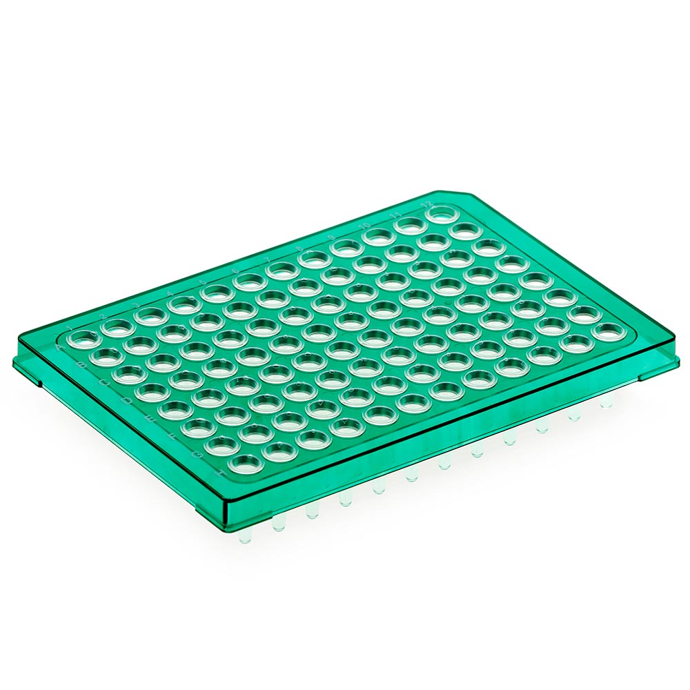 Special Order - Diamond Shell 0.2mL 96 well PCR Plate, Half skirt, Green PC frame and PP wells
