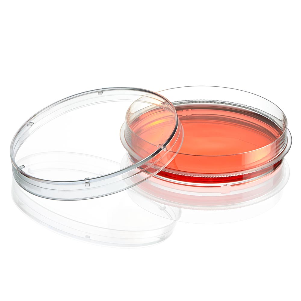 Cell Culture Dish, Tissue Culture Treated, 100 x 20mm with Gripping Ring, Sterile, XL Growth Area, 10/Bag, 300/Case