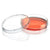 Cell Culture Dish, Tissue Culture Treated, 100 x 20mm with Gripping Ring, Sterile, XL Growth Area, 10/Bag, 300/Case