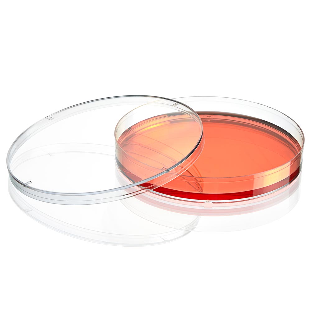 Cell Culture Dish, Tissue Culture Treated, 150 x 20mm, Sterile, 5/Bag, 100/Case