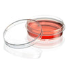 Cell Culture Dish, Tissue Culture Treated, 60 x 15mm with Gripping Ring, Sterile, 10/Bag, 500/Case