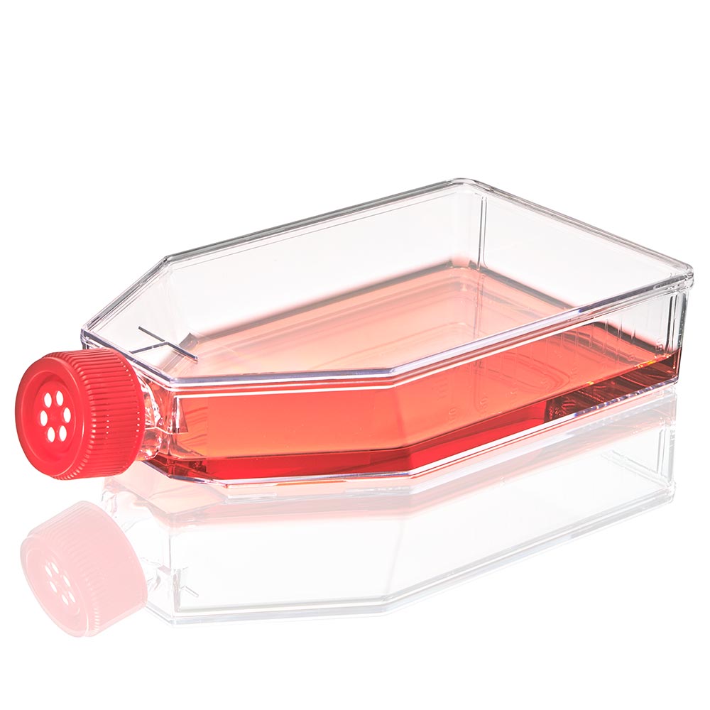 Cell Culture Flask, Tissue Culture Treated, 225cm2, Vent Cap