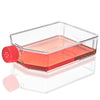 Cell Culture Flask, Tissue Culture Treated, 225cm2, Vent Cap, Sterile, 5/Bag, 25/Case
