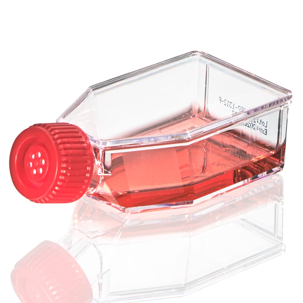 Cell Culture Flask, Tissue Culture Treated, 225cm2, Vent Cap