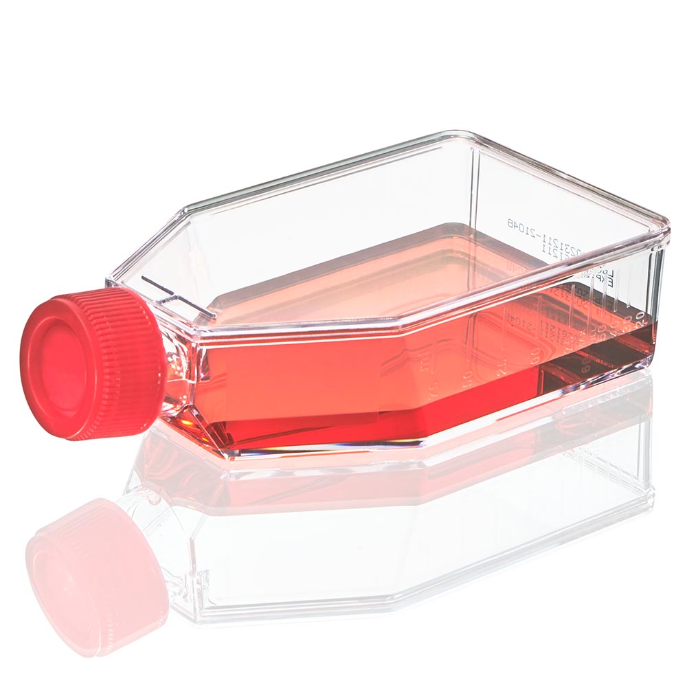 Cell Culture Flask, Tissue Culture Treated, 75cm2, Plug Cap, Sterile, 5/Bag, 100/Case