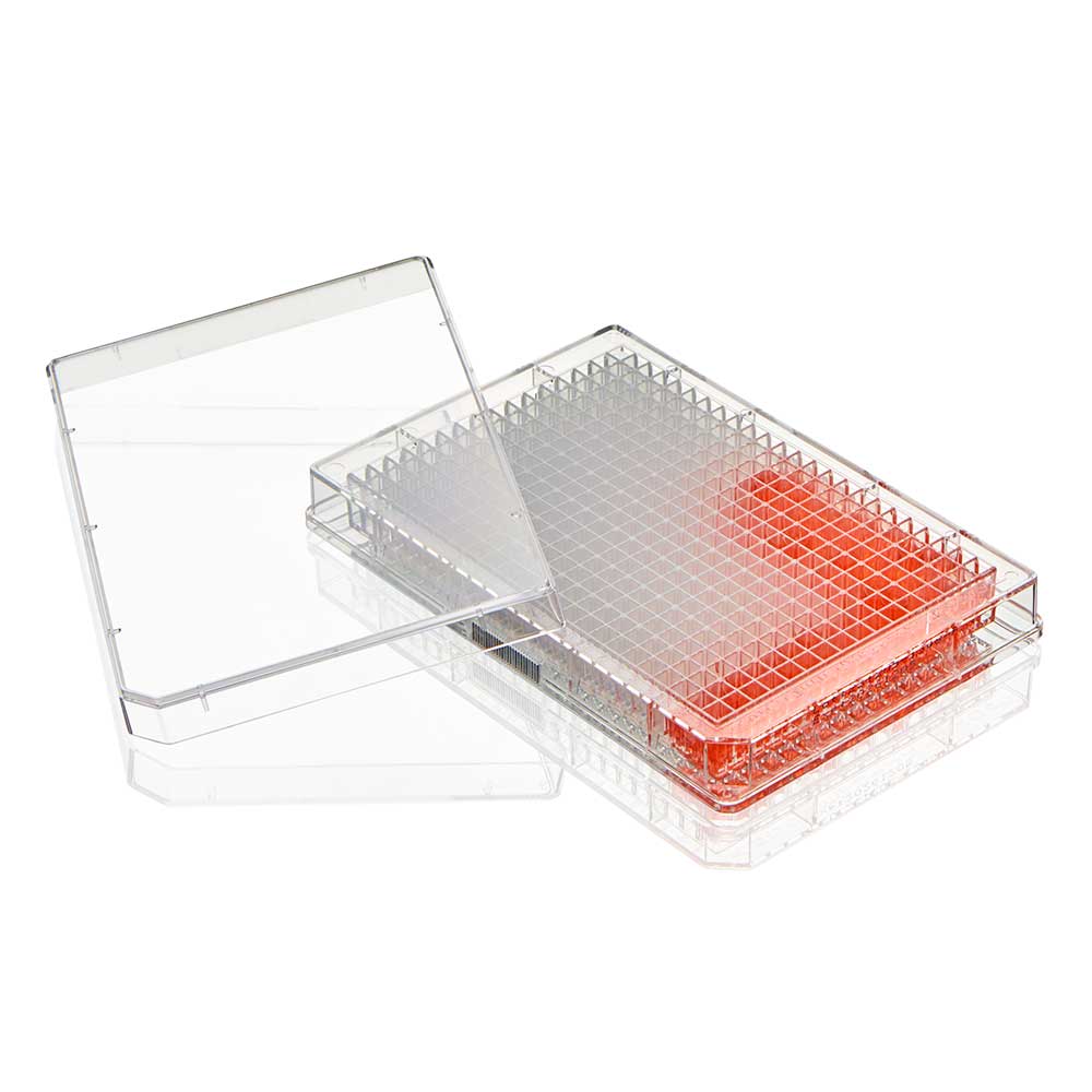 Multiple Well Plate, 384 Well, Flat Bottom, Tissue Culture Treated, Sterile, Individually Wrapped