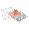 Multiple Well Plate, 96 Well, Round Bottom, Tissue Culture Treated, Sterile, Individually Wrapped