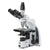 iScope trinocular microscope with EWF, 10x/22mm eyepiece,PLi 4/10/S40/S100x