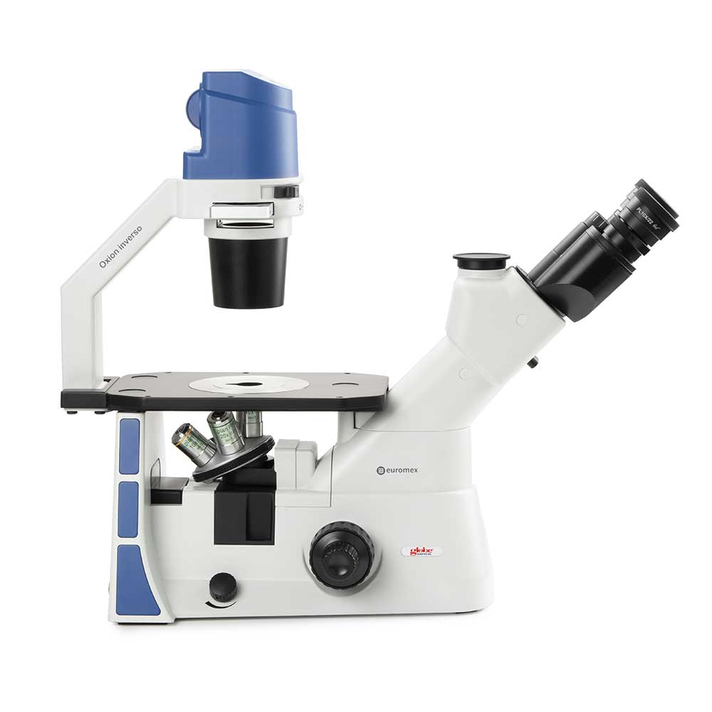 Inverted trinocular microscope with mech, stage 10/20/40x, w