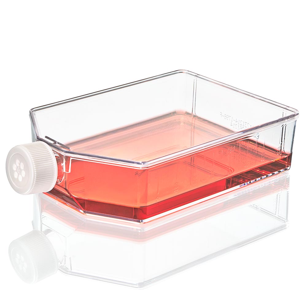 Cell Culture Flask, Non-treated, 850mL, Vent Cap, Sterile, 5/Bag, 25/Case