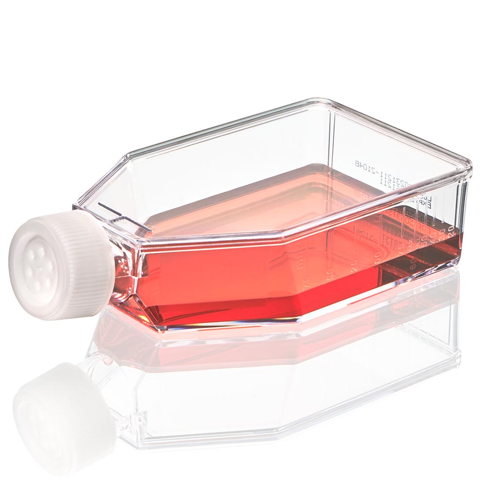 Cell Culture Flask, Non-treated, 250mL, Vent Cap, Sterile, 5/Bag, 100/Case